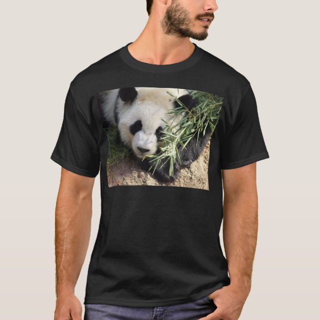 Panda Bear @ Zoo Atlanta T-Shirt (Front)