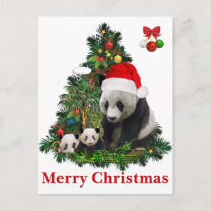 Panda bears Christmas Holiday Postcard