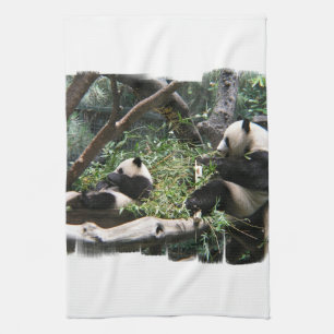 Panda Bears Kitchen Towel