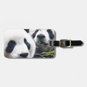 Panda Bears Luggage Tag