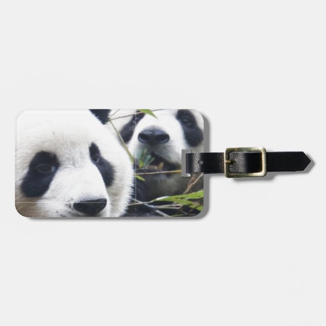 Panda Bears Luggage Tag (Front Horizontal)