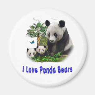 Panda Bears Magnet