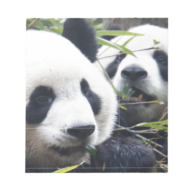 Panda Bears Notepad (Front)