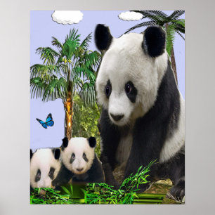 Panda bears  poster