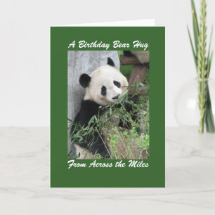 Panda Birthday Bear Hug Across the Miles Green Card
