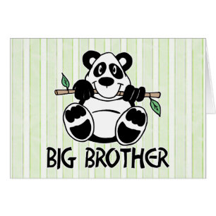 Panda Boy Big Brother