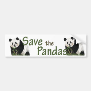 panda bumper sticker