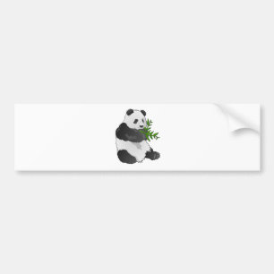 Panda Bumper Sticker
