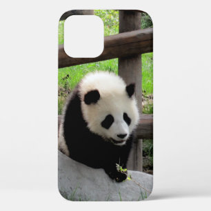 panda iPhone 12 case