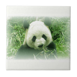 Panda Ceramic Tile