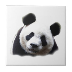 Panda Ceramic Tile