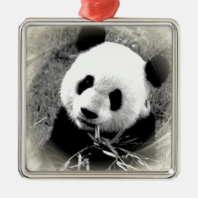 Panda Christmas Ornaments (Front)