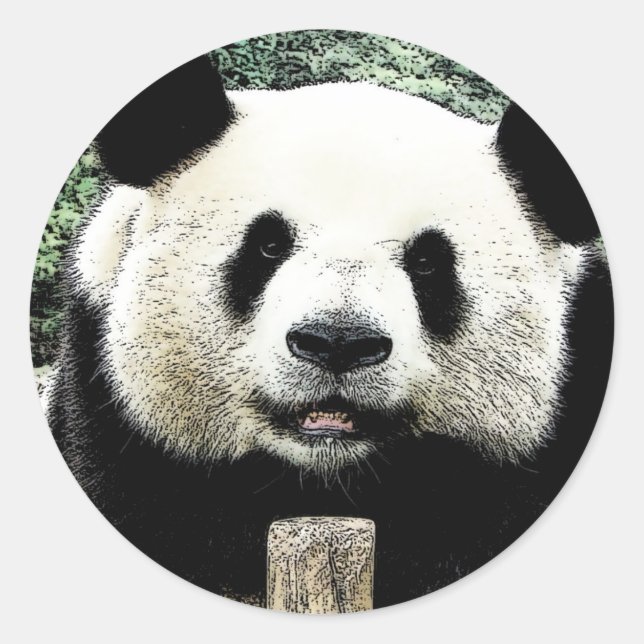 Panda Classic Round Sticker (Front)