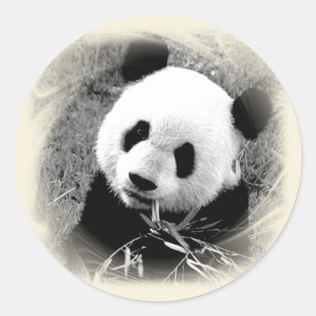 Panda Classic Round Sticker (Front)
