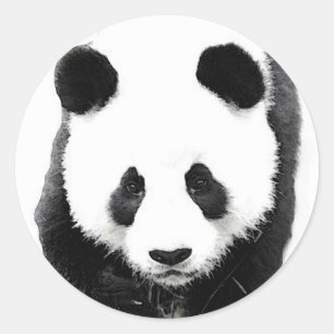 Panda Classic Round Sticker
