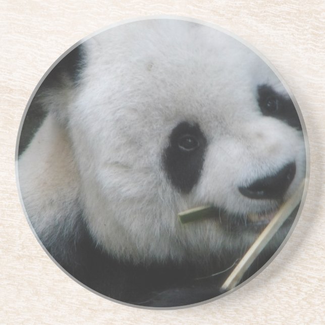 Panda Coaster (Front)