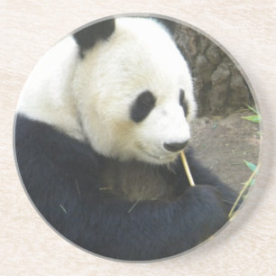 Panda Coater Coaster