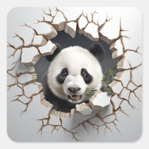 Panda Cracked Hole Art  Panda Smashed Wall 3D Square Sticker