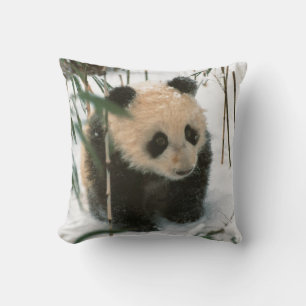Panda cub on snow, Wolong, Sichuan, China Cushion