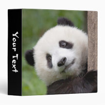 Panda cub painting binder