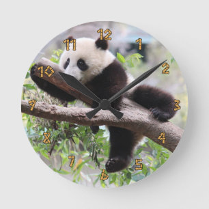 Panda Cub Relaxing In a Tree Round Clock
