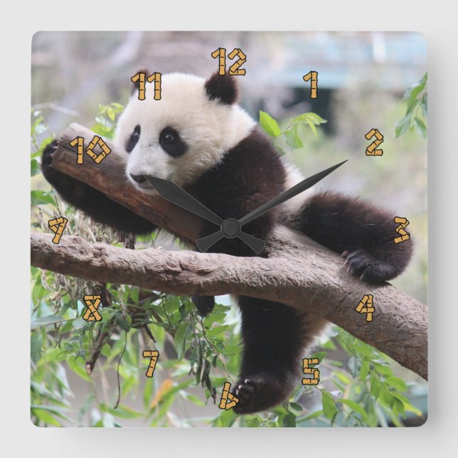 Panda Cub Square Wall Clock (Front)