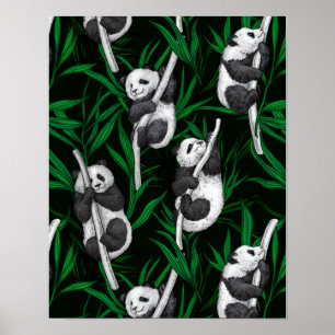 Panda cubs on dark green poster