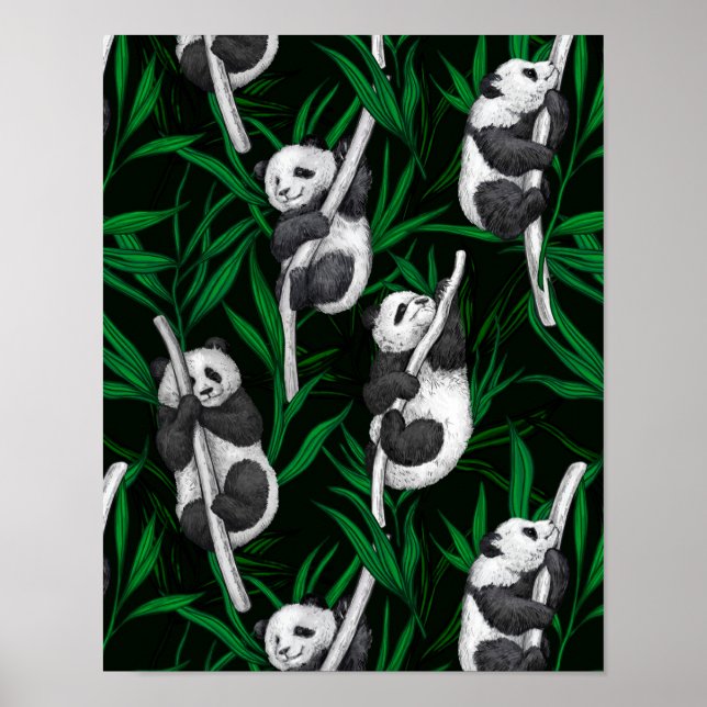 Panda cubs on dark green poster (Front)
