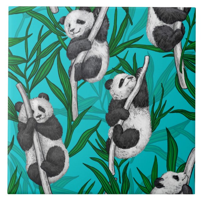 Panda cubs on turquoise ceramic tile (Front)