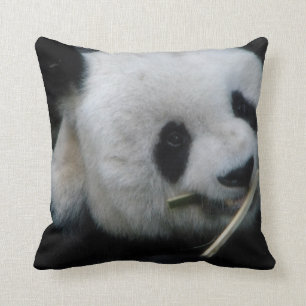 Panda Cushion
