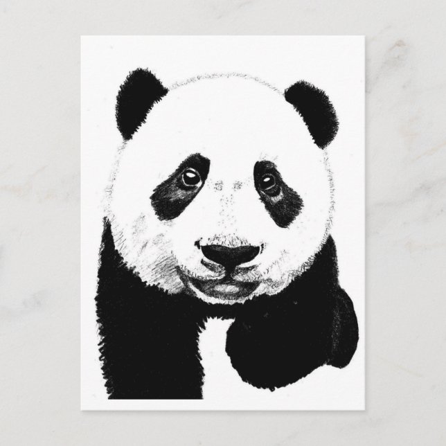 Panda drawing postcard (Front)