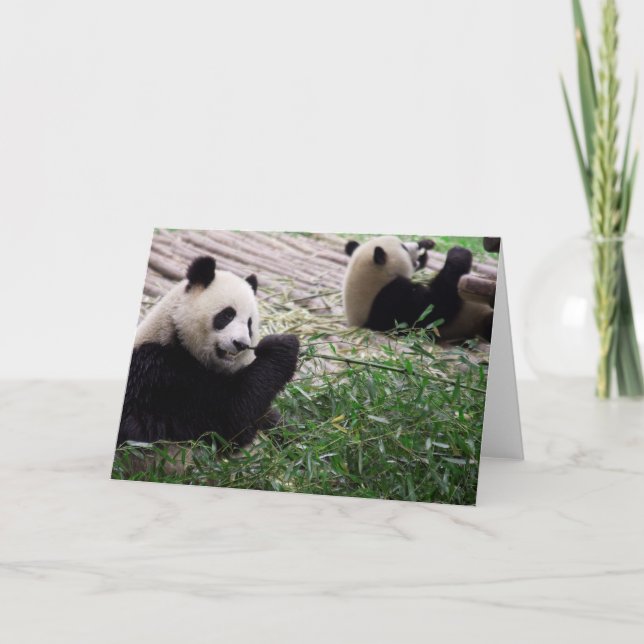 Panda Dream Blank Card (Front)