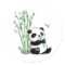 Panda Eating Bamboo