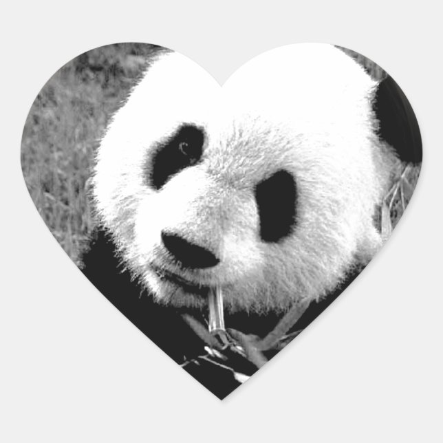 Panda Eyes Heart Sticker (Front)