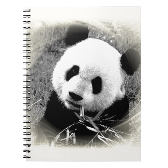 Panda Eyes Notebook (Front)