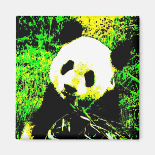Panda Face Pop Art Magnet