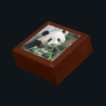 Panda Gift Box for Teacher<br><div class="desc">This personable panda was photographed in Chengdu, China. This makes a great gift for a teacher, mother's day, or any special someone. The sample text can be modified or erased. All Rights Reserved © 2013 Alan & Marcia Socolik</div>