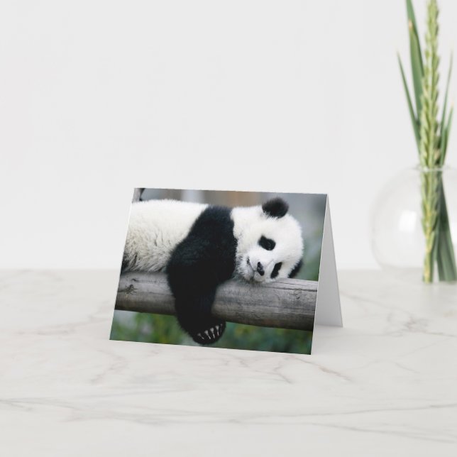 Panda Hugging Post Card (Front)
