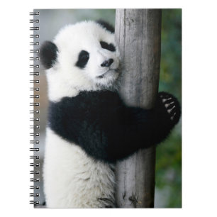 Panda Hugging Post Notebook