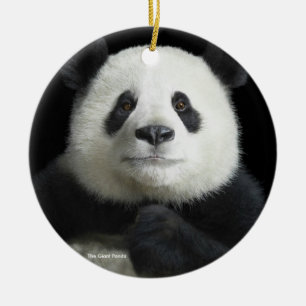 Panda image for Circle-Ornament Ceramic Ornament