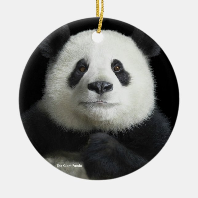 Panda image for Circle-Ornament Ceramic Ornament (Front)