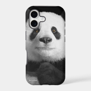 Panda image for iPhone-5-5S-Barely-There