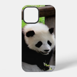 panda iPhone case