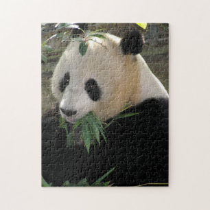 Panda Jigsaw Puzzle