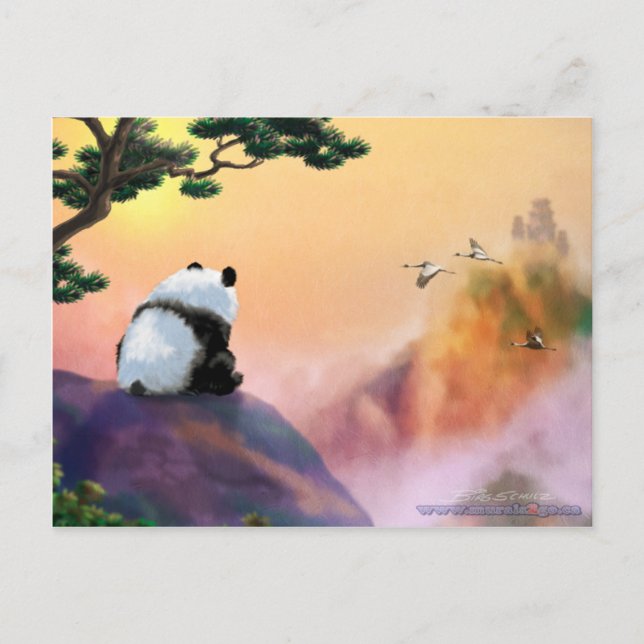 Panda Looking Out Postcard (Front)