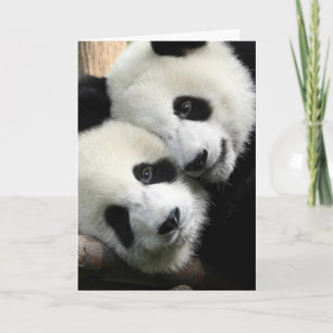 Panda Love Valentine's Day Card