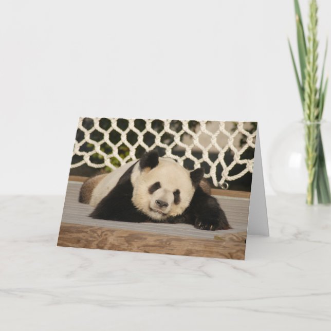 Panda M010 Card (Front)