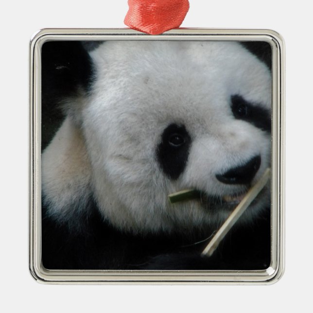 Panda Metal Tree Decoration (Front)