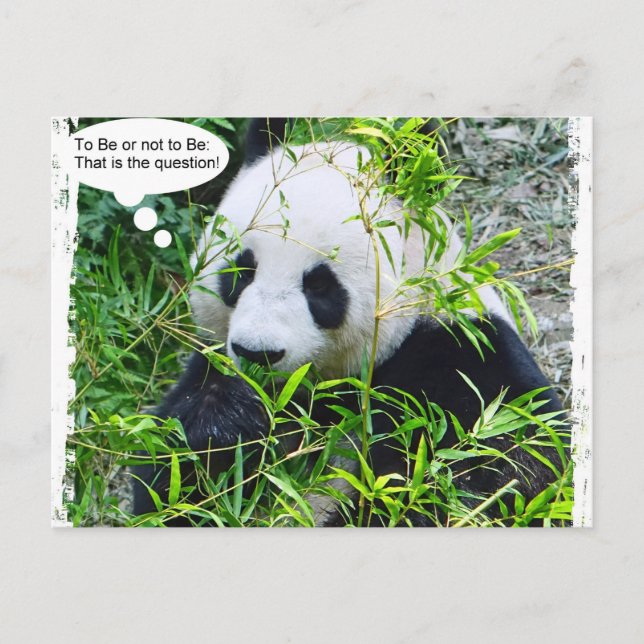 Panda Modern Pop Art Quote Template Trendy Postcard (Front)