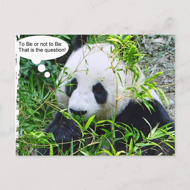 Panda Modern Quote Animal Template Trendy Postcard (Front)